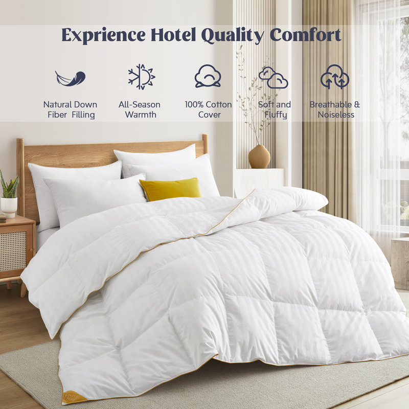 Goose Duck Feather Down Comforter outlets - 100% Cotton Cover, All Season Cotton Fluffy